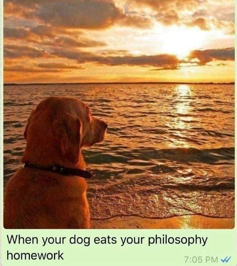 
Philosophizing Dog